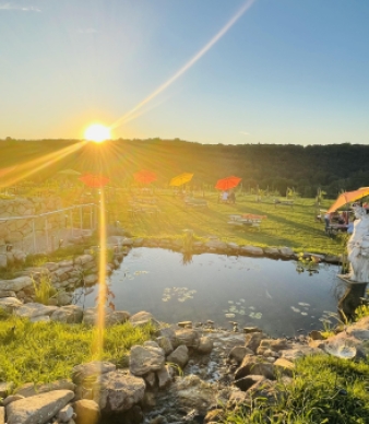 Aquila's Nest Vineyards